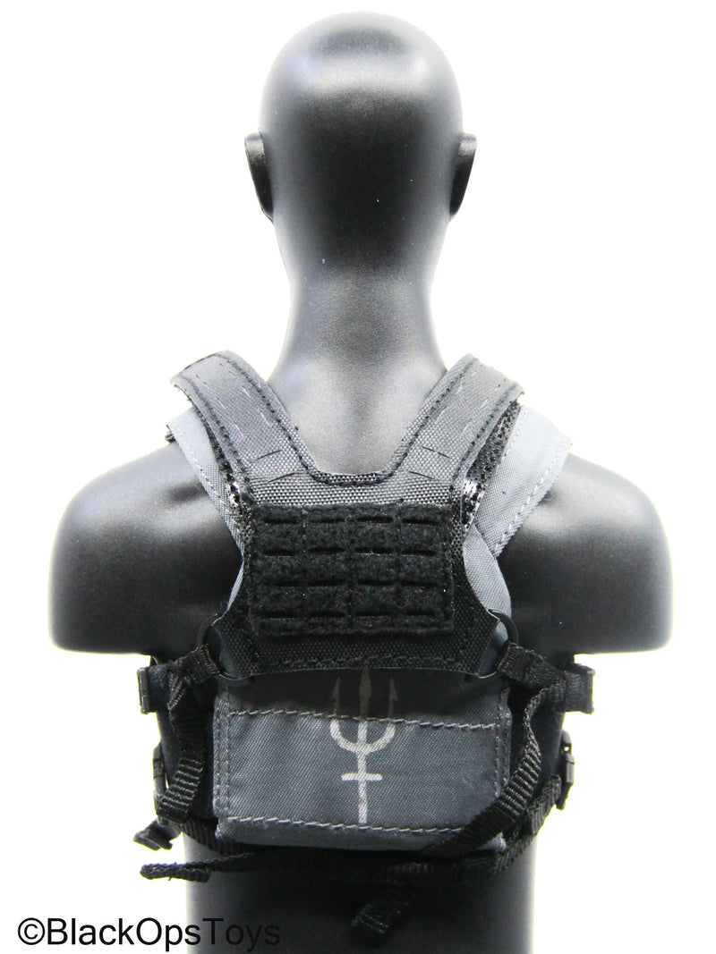 Load image into Gallery viewer, Grey Trident Logo Slick Plate Carrier w/Chest Rig &amp; Pouch Set
