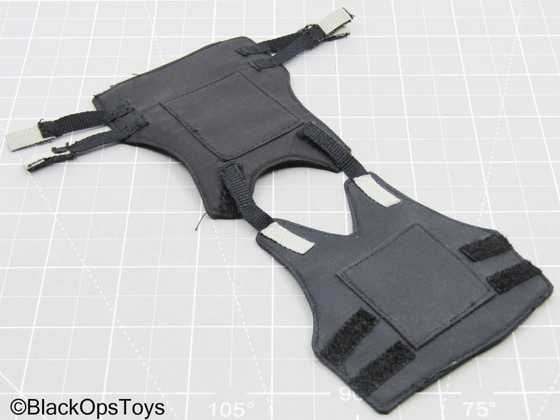 Load image into Gallery viewer, Black Plate Carrier
