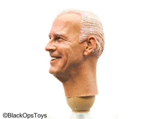 Male Headsculpt In Joe Biden Likeness