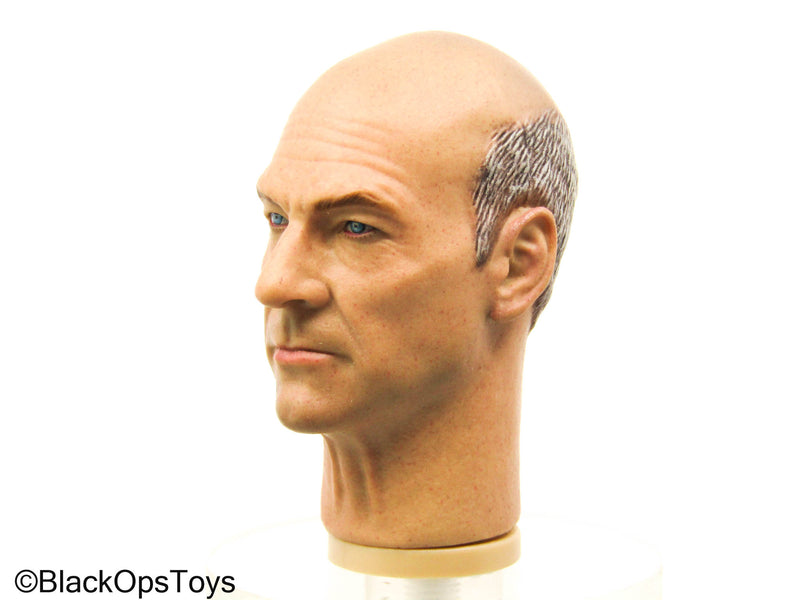 Load image into Gallery viewer, Male Headsculpt In Patrick Stewart Likeness
