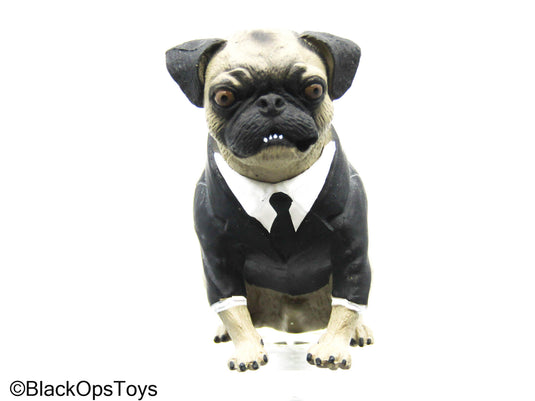 Men In Black - Frank The Pug In Black Suit