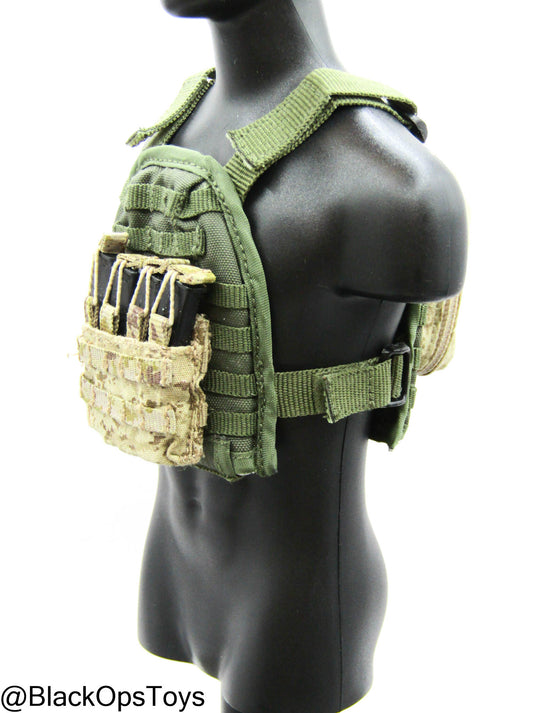 OD Green MOLLE Plate Carrier w/Stick Mag Pouch
