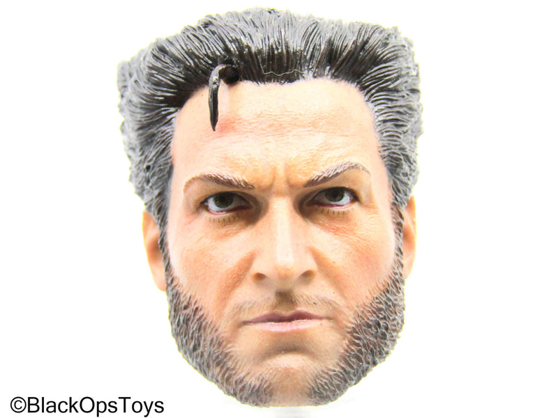 Load image into Gallery viewer, X-Men - Wolverine Headsculpt In Hugh Jackman's Likeness
