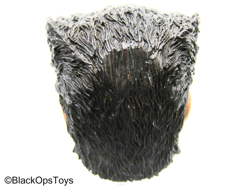 Load image into Gallery viewer, X-Men - Wolverine Headsculpt In Hugh Jackman's Likeness
