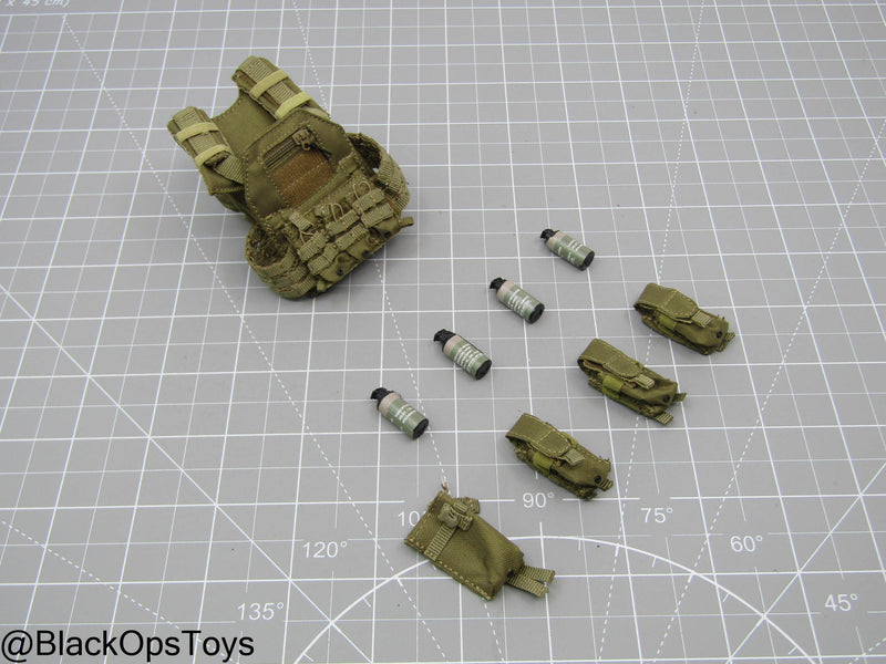 Load image into Gallery viewer, Code 627 - Coyote Tan Plate Carrier Set
