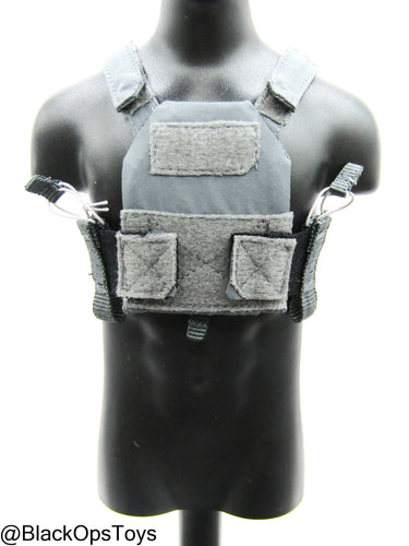 PMC - Weapon Specialist S - Wolf Grey Plate Carrier w/Trident Logo