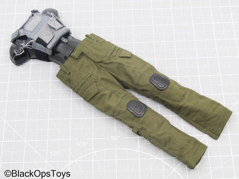 Load image into Gallery viewer, OD Green Combat Pants w/Trident Logo Grey Plate Carrier
