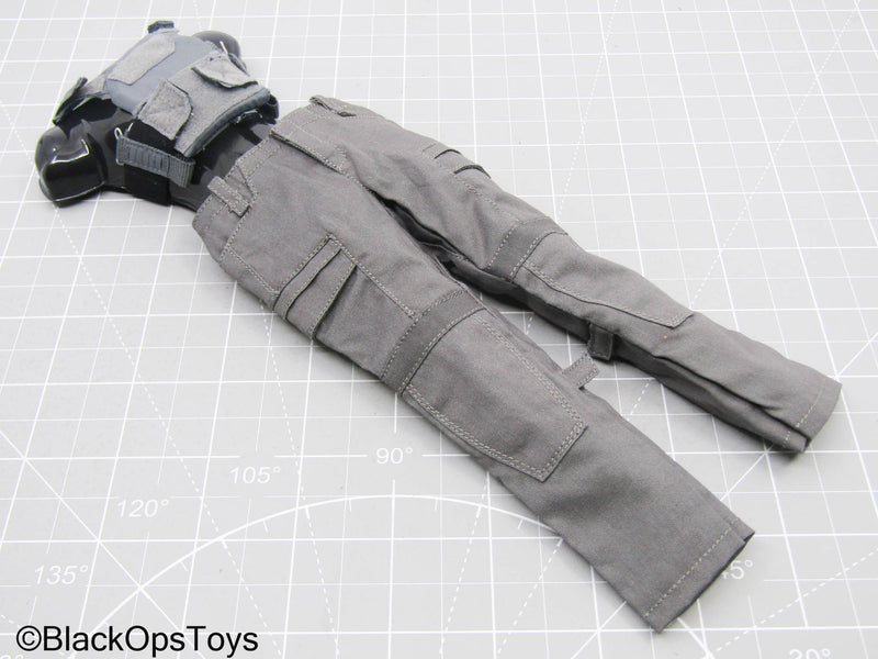 Load image into Gallery viewer, Grey Pants w/Trident Logo Plate Carrier
