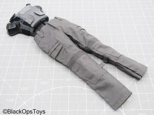 Grey Pants w/Trident Logo Plate Carrier
