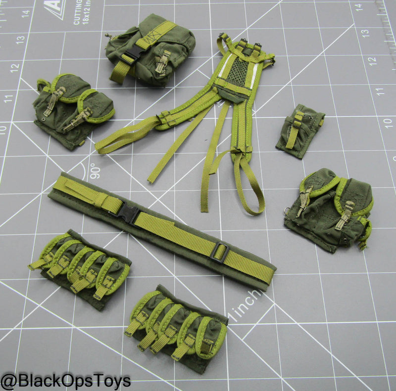 Load image into Gallery viewer, TSSN FSB Vympel - Battle Rig w/Pouch Set
