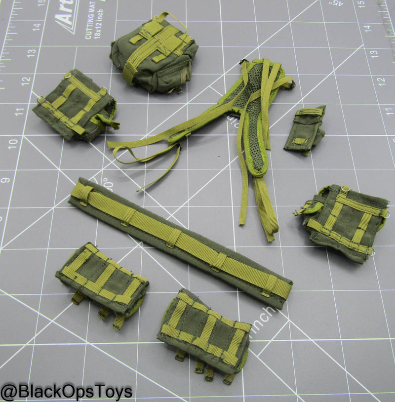 Load image into Gallery viewer, TSSN FSB Vympel - Battle Rig w/Pouch Set
