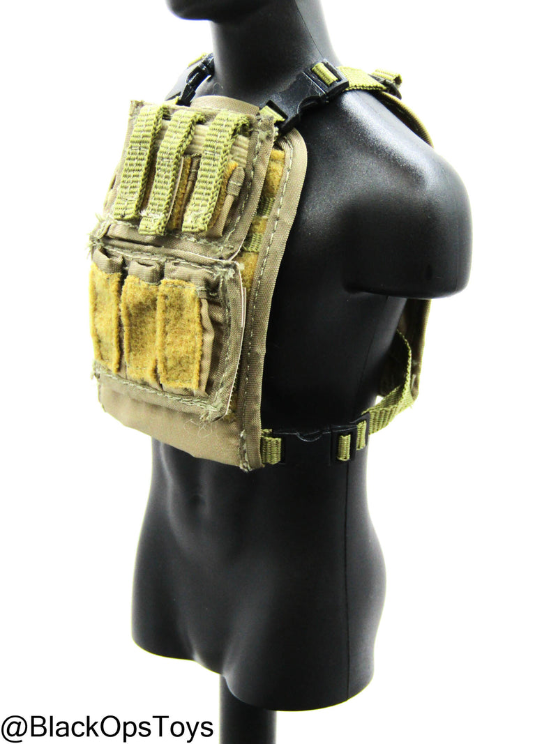 Load image into Gallery viewer, FDE Tan MOLLE Plate Carrier
