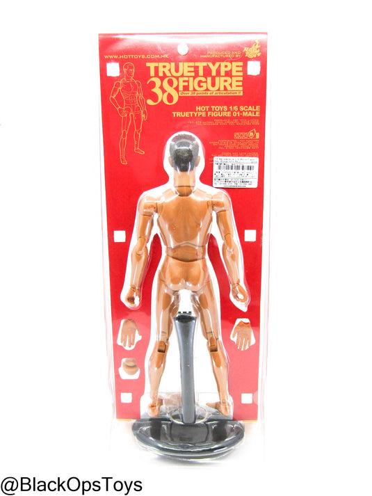 True Type Male Base Body w/Headsculpt - MINT IN BOX