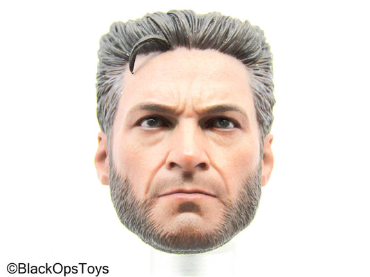 X-Men - Wolverine Headsculpt (Hot Toys)