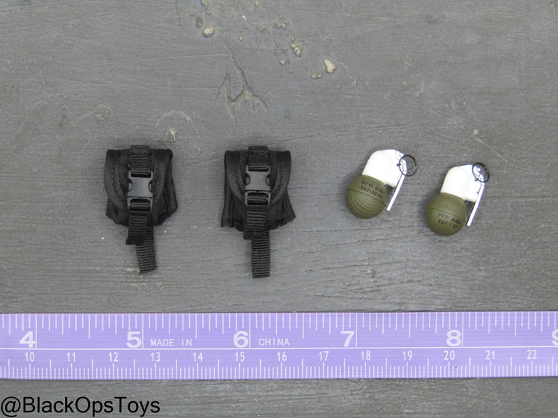 Load image into Gallery viewer, Russian SOBR Granit - Black MOLLE Grenade Pouches w/Grenades
