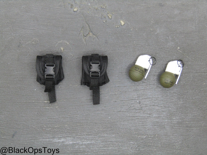 Load image into Gallery viewer, Russian SOBR Granit - Black MOLLE Grenade Pouches w/Grenades
