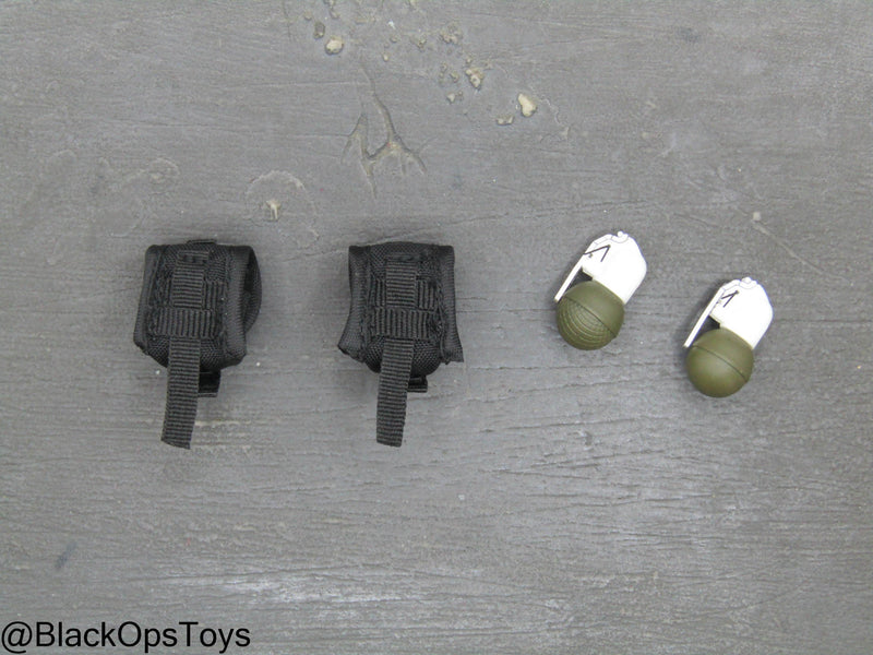 Load image into Gallery viewer, Russian SOBR Granit - Black MOLLE Grenade Pouches w/Grenades
