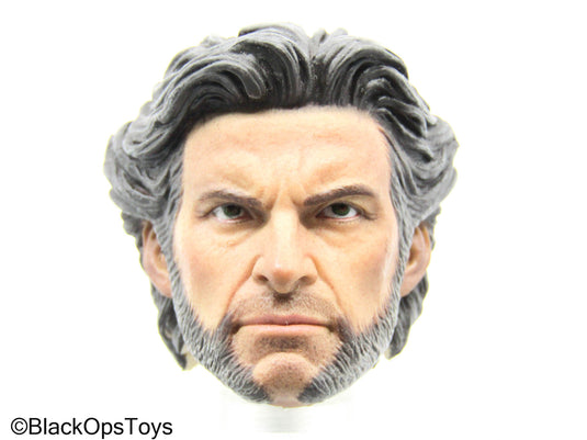 Wolverine - Logan Headsculpt