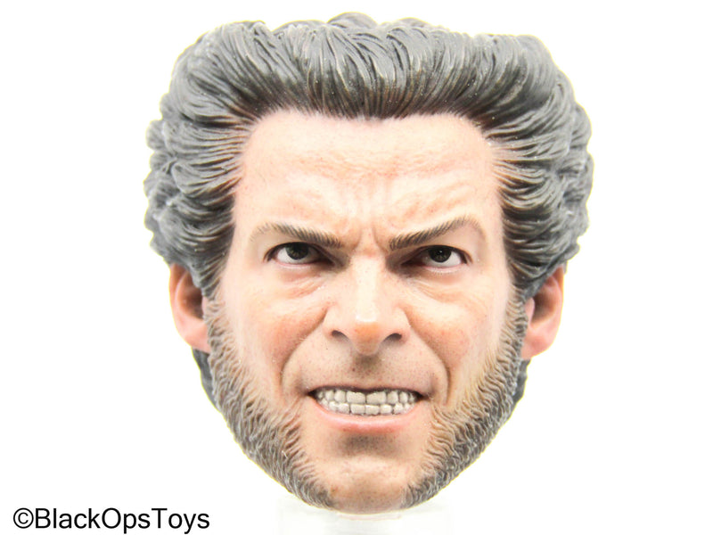 Load image into Gallery viewer, Wolverine - Logan Headsculpt (Hot Toys)
