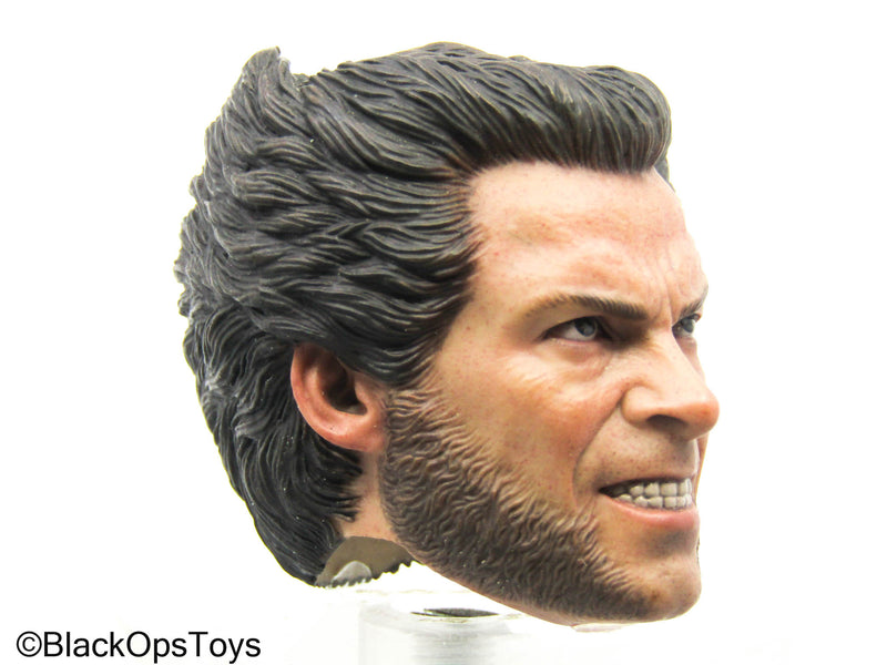 Load image into Gallery viewer, Wolverine - Logan Headsculpt (Hot Toys)
