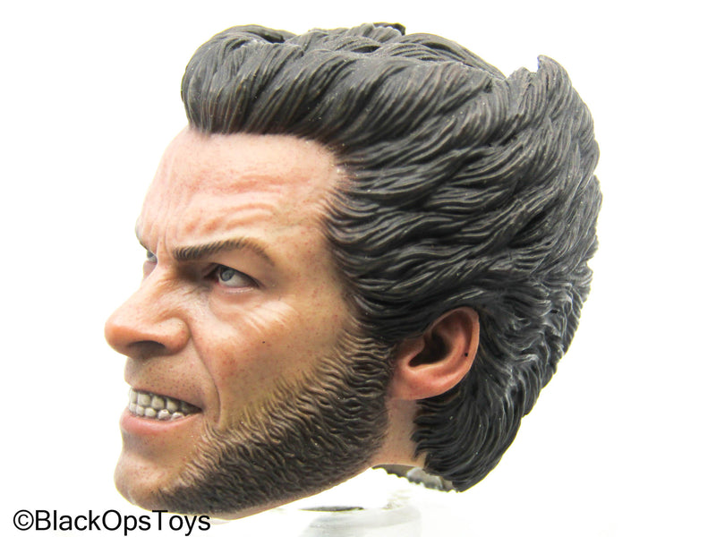 Load image into Gallery viewer, Wolverine - Logan Headsculpt (Hot Toys)
