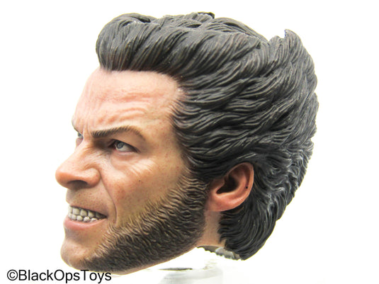 Wolverine - Logan Headsculpt (Hot Toys)