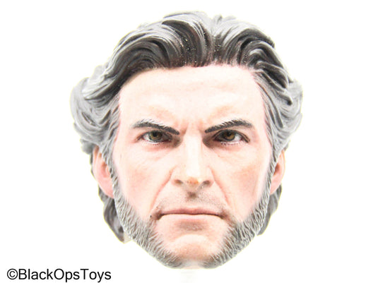 Wolverine - Logan Headsculpt