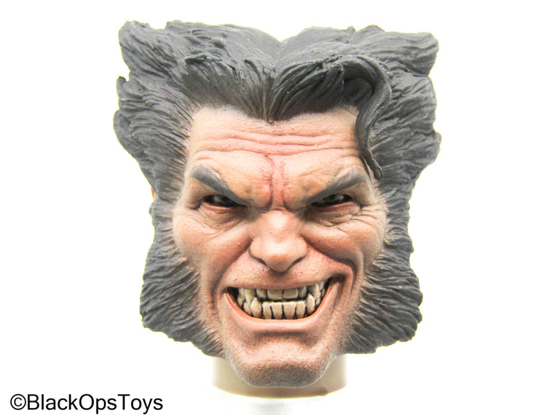 Load image into Gallery viewer, Angry Wolfman Headsculpt
