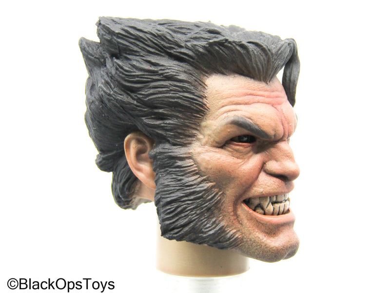 Load image into Gallery viewer, Angry Wolfman Headsculpt
