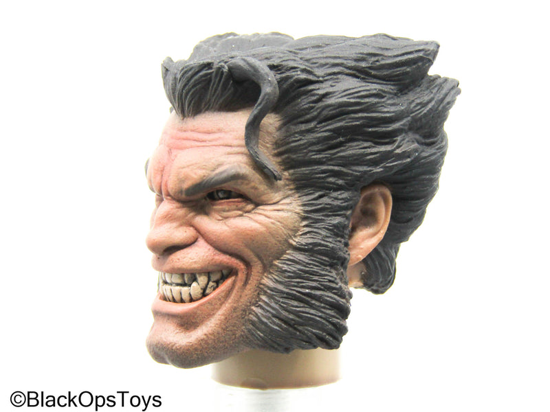 Load image into Gallery viewer, Angry Wolfman Headsculpt
