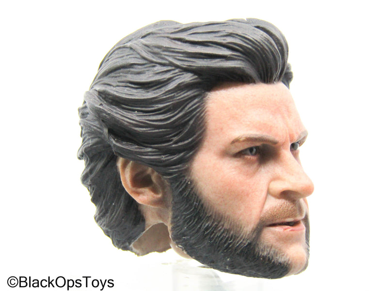 Load image into Gallery viewer, Wolverine - Logan Headsculpt
