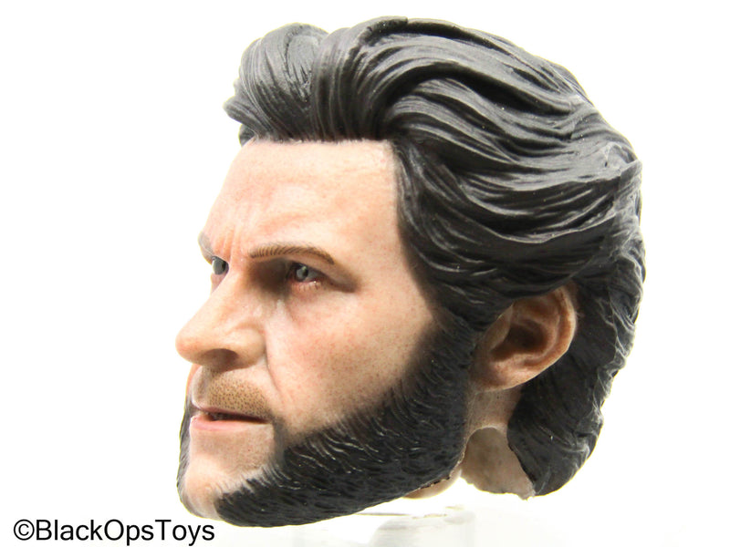 Load image into Gallery viewer, Wolverine - Logan Headsculpt
