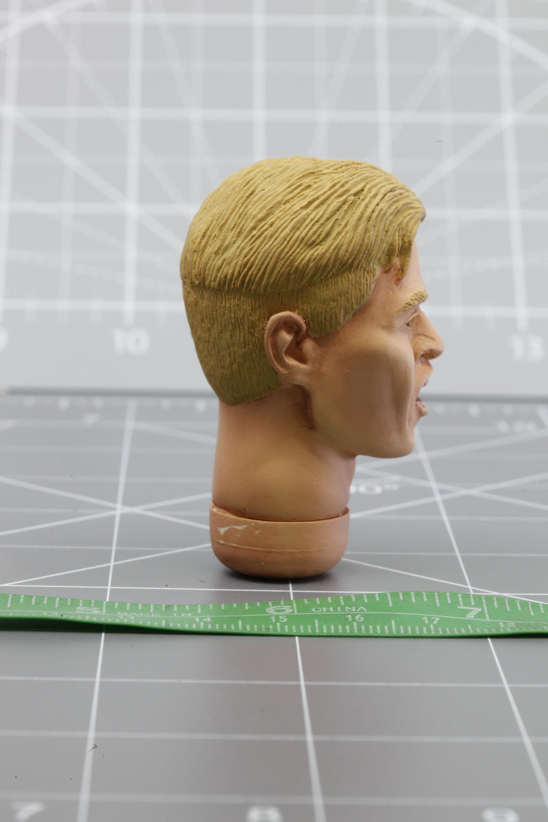 Load image into Gallery viewer, BAM 1/6 Zodiac Works &quot;Fox&quot; Custom Expression Headsculpt
