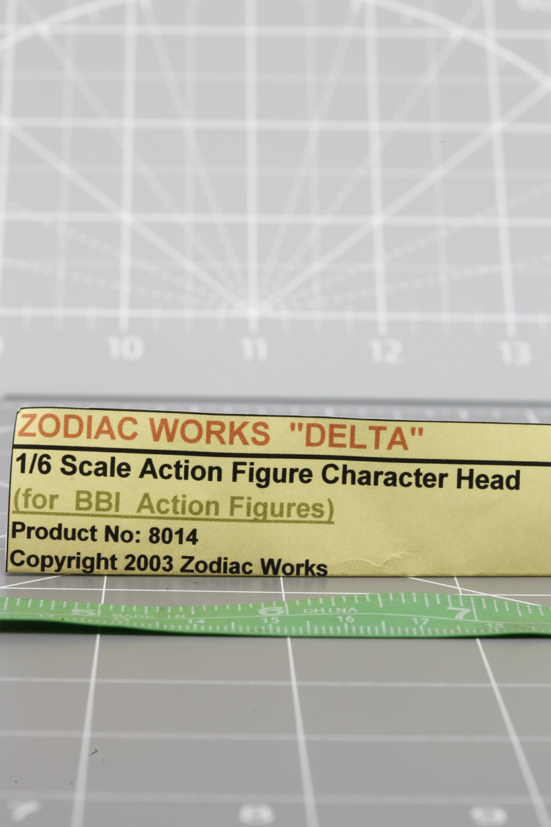 Load image into Gallery viewer, BAM 1/6 Zodiac Works &quot;Delta&quot; Custom Expression Headsculpt

