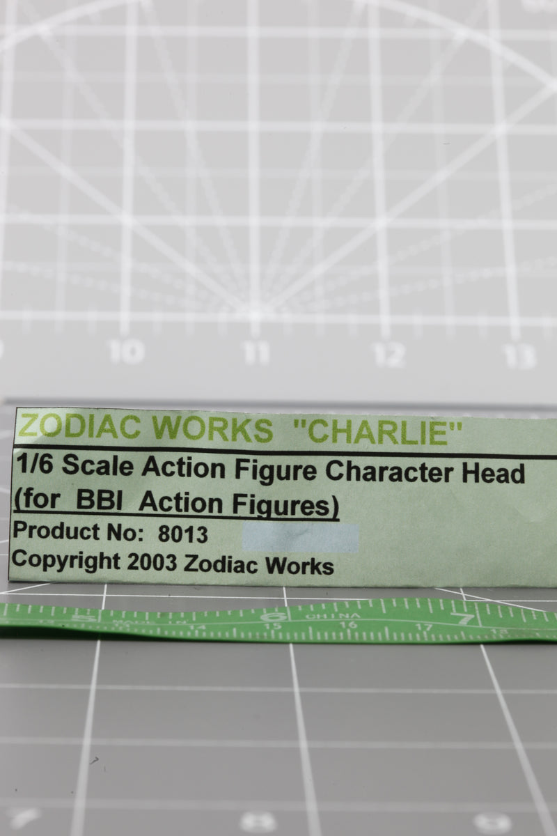 Load image into Gallery viewer, BAM 1/6 Zodiac Works &quot;Charlie&quot; Custom Expression Headsculpt

