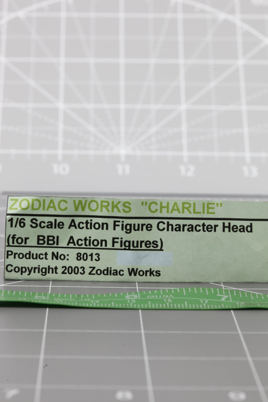 BAM 1/6 Zodiac Works 