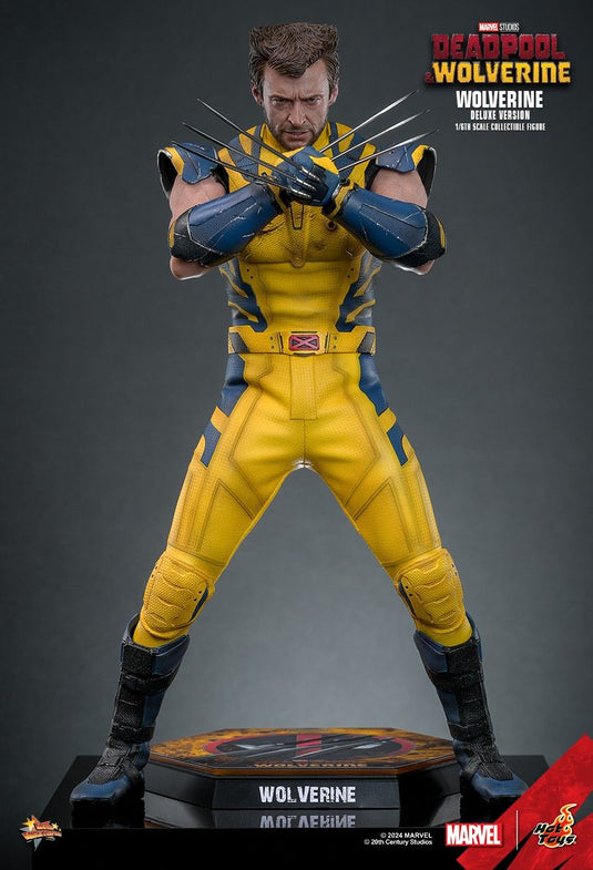 Deadpool & Wolverine - Wolverine Deluxe Version - MINT IN BOX