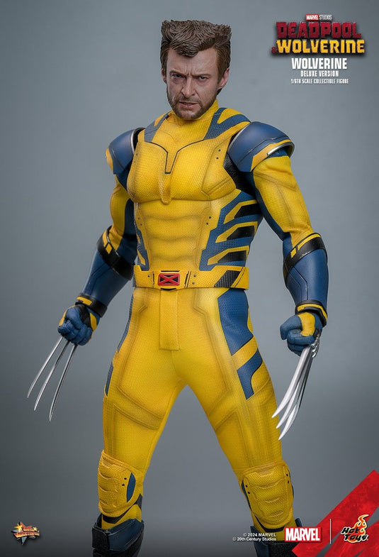Wolverine - Battle Damaged Chest Piece