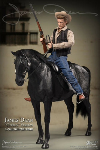 James Dean - Deluxe Cowboy Version - MINT IN BOX