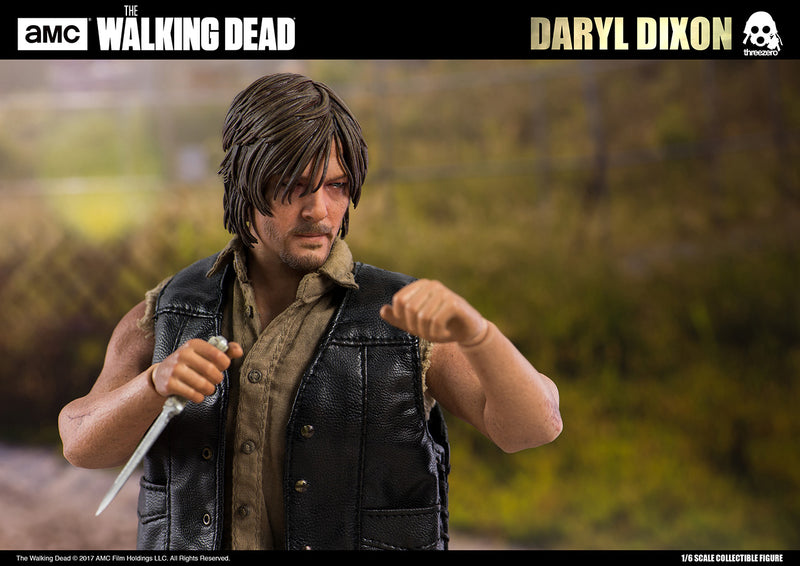 Load image into Gallery viewer, The Walking Dead - Daryl Dixon - MINT IN BOX
