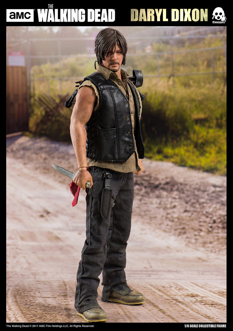Load image into Gallery viewer, The Walking Dead - Daryl Dixon - MINT IN BOX
