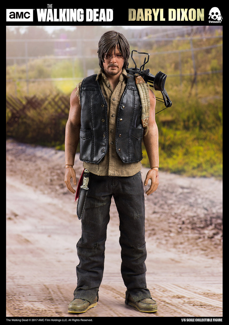 Load image into Gallery viewer, The Walking Dead - Daryl Dixon - MINT IN BOX
