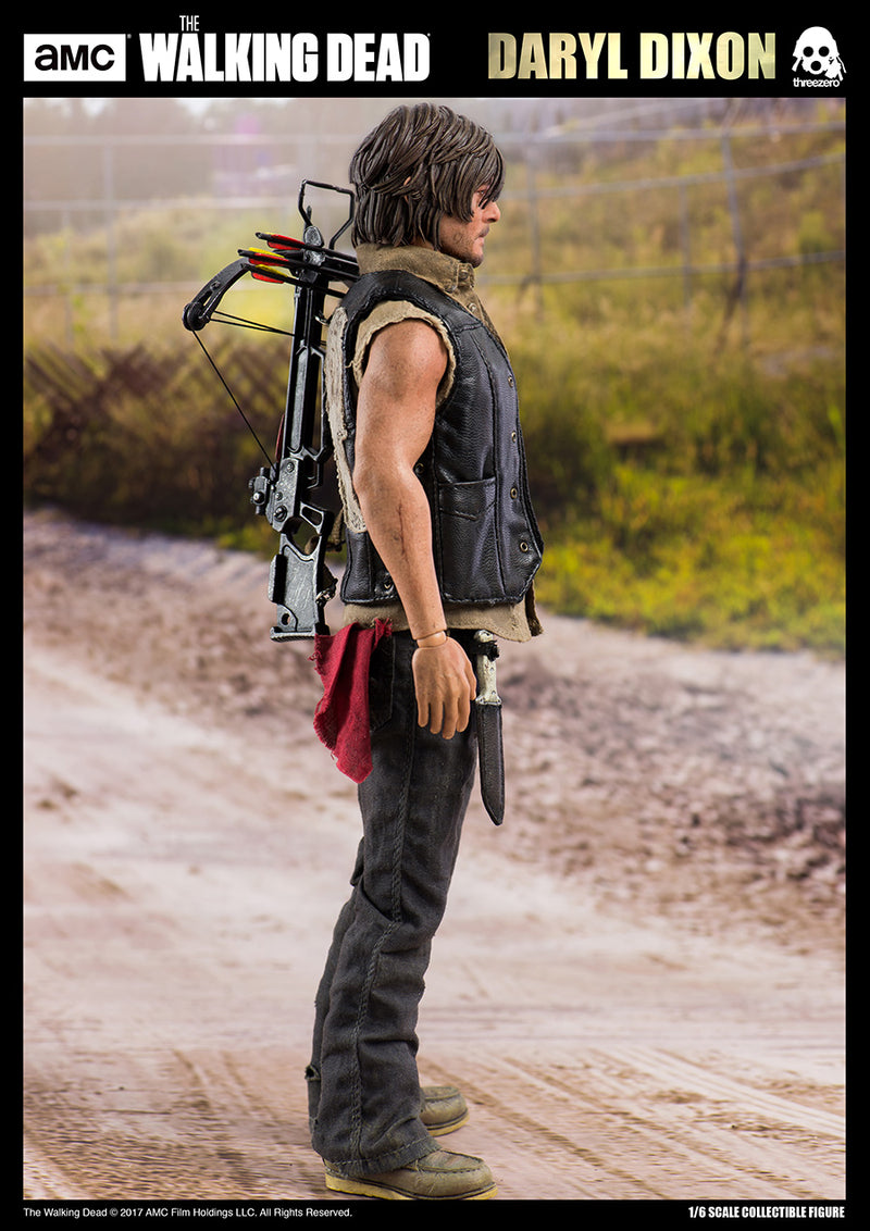 Load image into Gallery viewer, The Walking Dead - Daryl Dixon - MINT IN BOX
