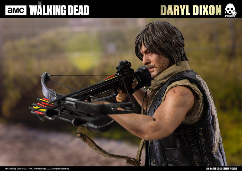 Load image into Gallery viewer, The Walking Dead - Daryl Dixon - MINT IN BOX
