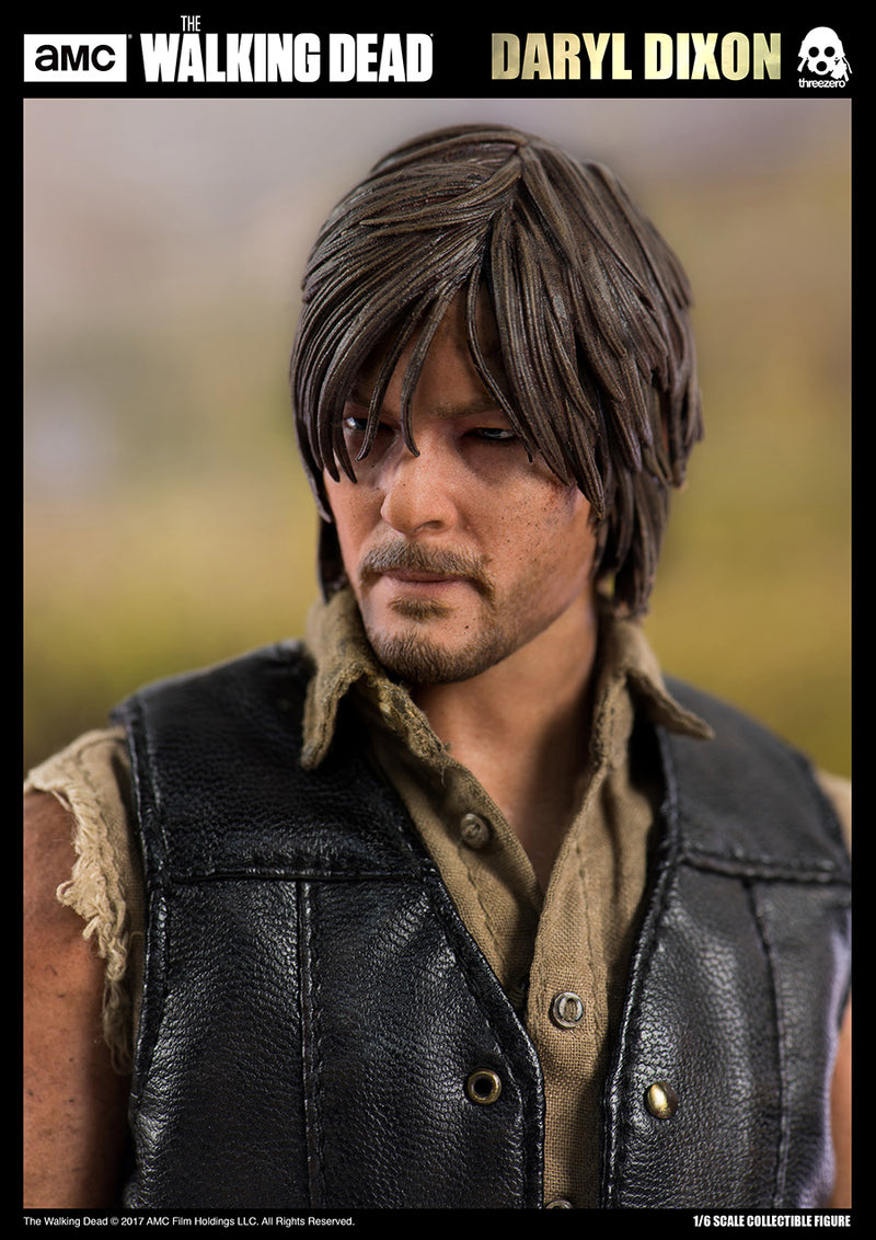 Load image into Gallery viewer, The Walking Dead - Daryl Dixon - MINT IN BOX
