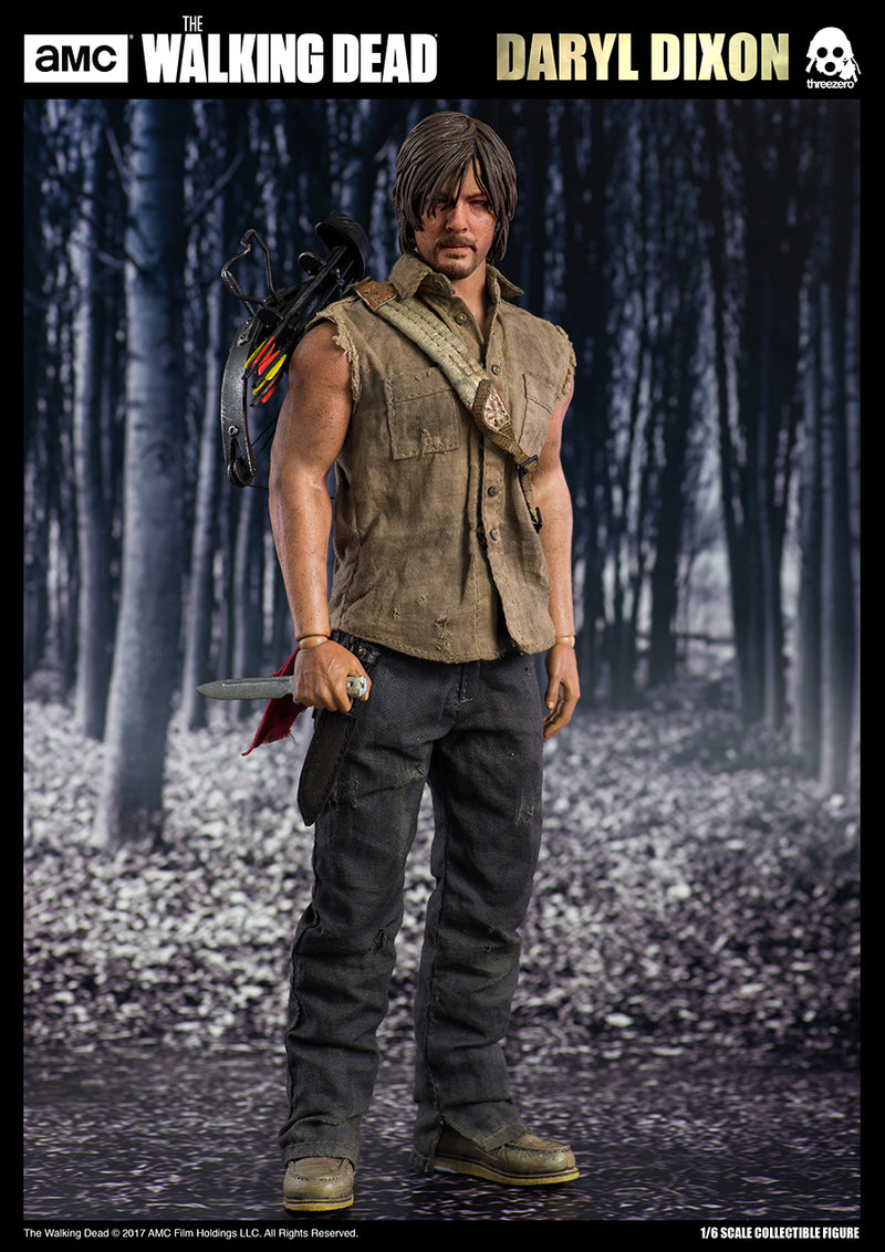 Load image into Gallery viewer, The Walking Dead - Daryl Dixon - MINT IN BOX
