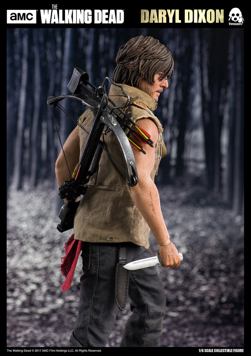 Load image into Gallery viewer, The Walking Dead - Daryl Dixon - MINT IN BOX

