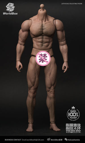 Male Base Muscle Body - MINT IN BOX