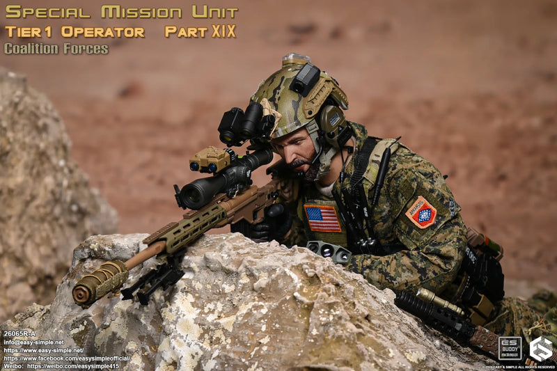 Load image into Gallery viewer, SMU Tier 1 Operator Part XIX Coalition Forces Version A - MINT IN BOX
