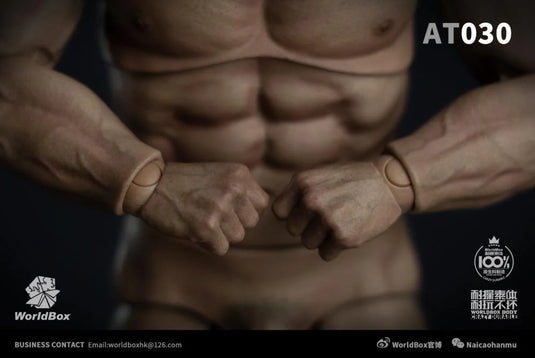 Male Base Muscle Body - MINT IN BOX